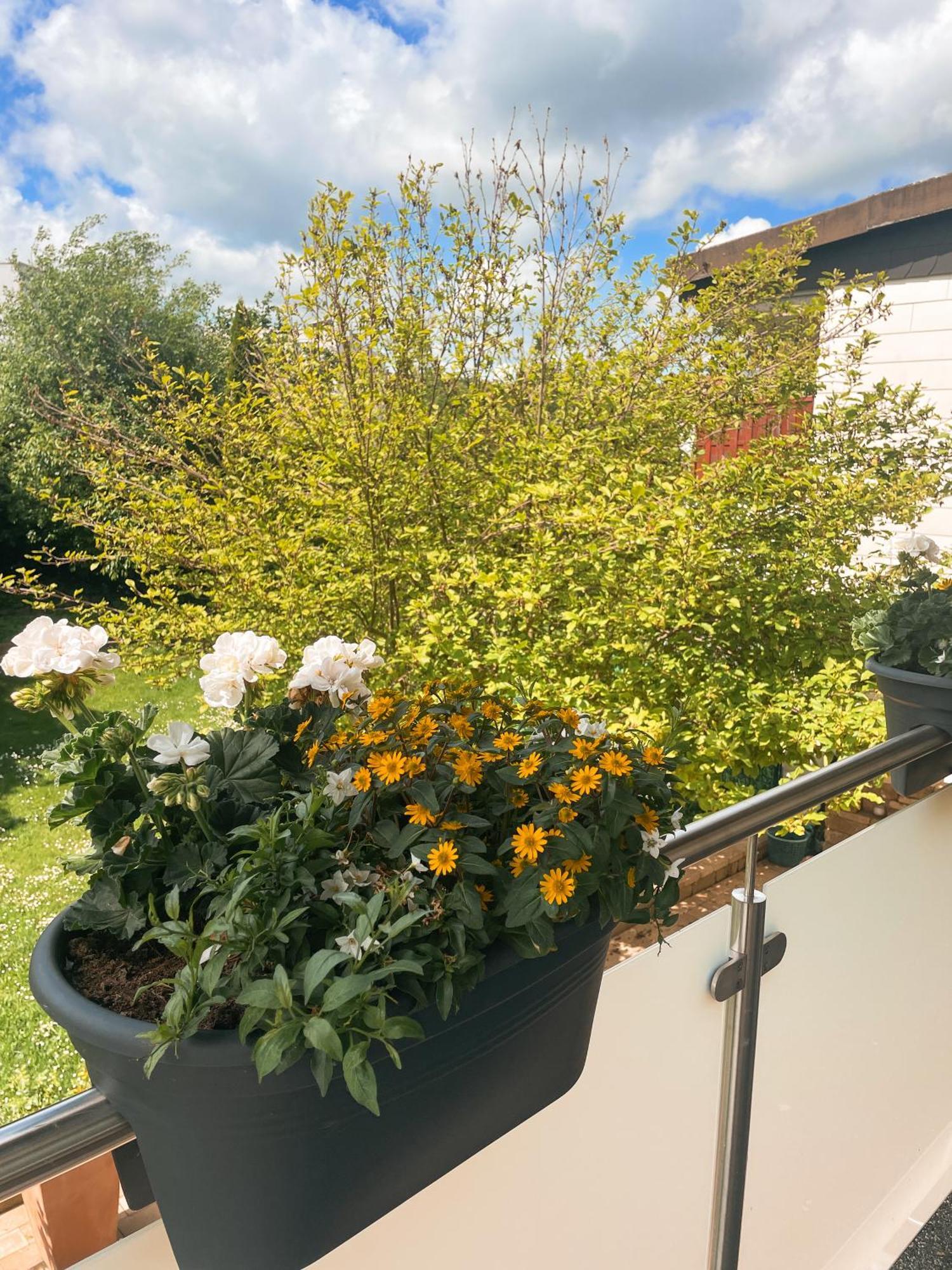 Appartment Paula Wolfhagen Εξωτερικό φωτογραφία